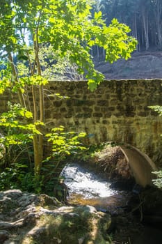 chorsin,loire,france