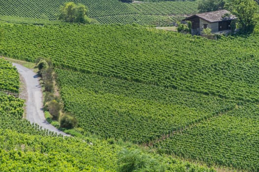 salgesch,valais,swiss