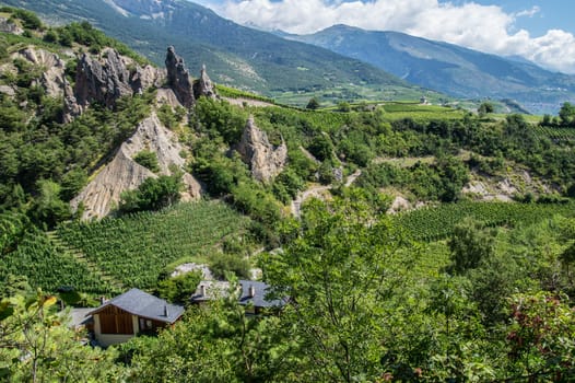 salgesch,valais,swiss