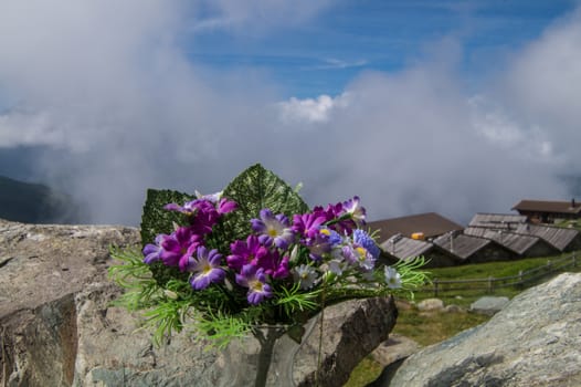 saint martin,alpage de l'a vieille,valais,swiss