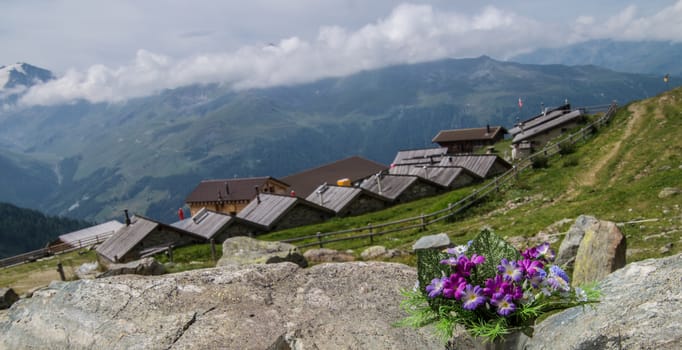 saint martin,alpage de l'a vieille,valais,swiss