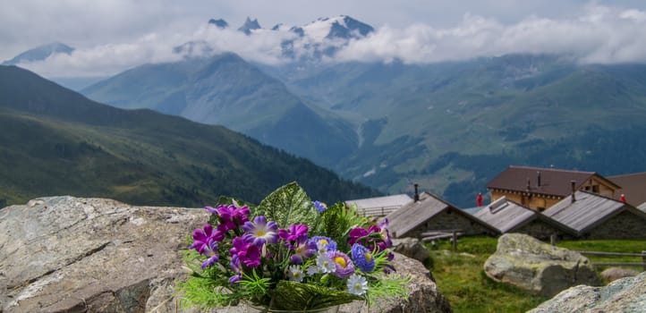 saint martin,alpage de l'a vieille,valais,swiss