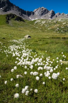 lake verney,petit saint bernard,val d'aoste,italy