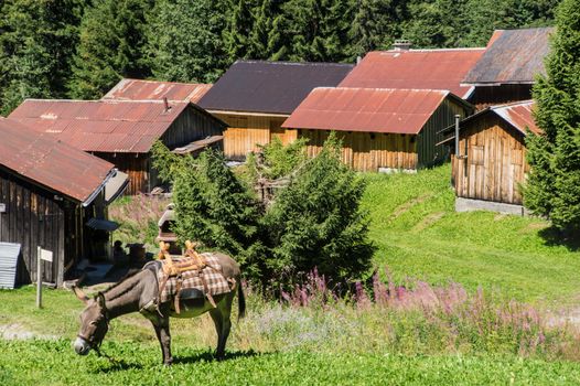 circus of fonts,haute savoie,france