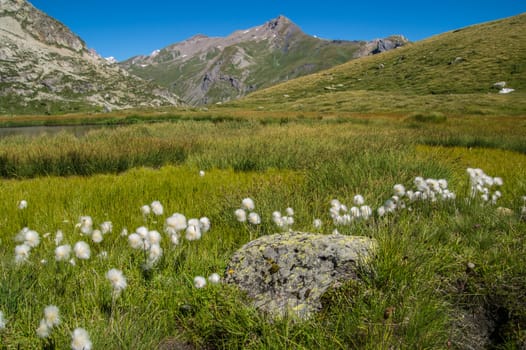 lake verney,petit saint bernard,val d'aoste,italy
