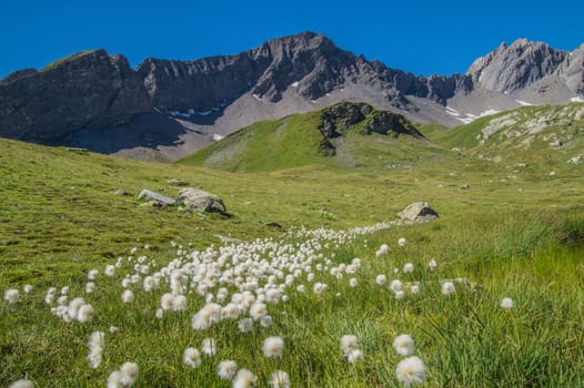 lake verney,petit saint bernard,val d'aoste,italy