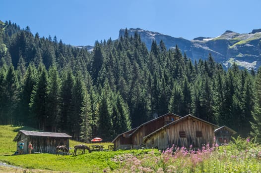 haute savoie