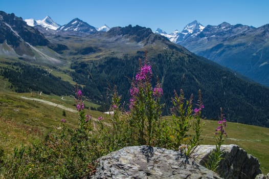 chandolin,valais,swiss