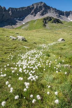 lake verney,petit saint bernard,val d'aoste,italy