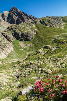 cheserys,massif of mont blanc,chamonix,haute savoie,france