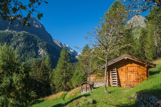 les granges,vallorcine,haute savoie,france