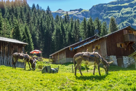 haute savoie