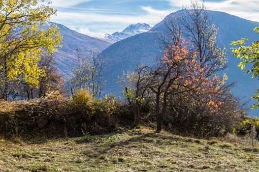 finnen,valais ,swiss