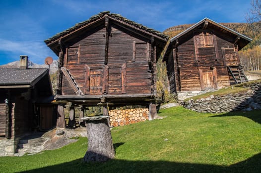 finnen,valais ,swiss