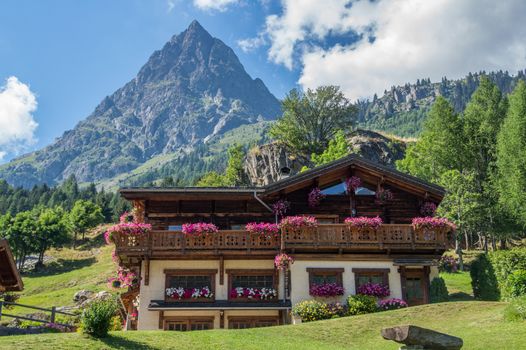 vallorcine,haute savoie,france