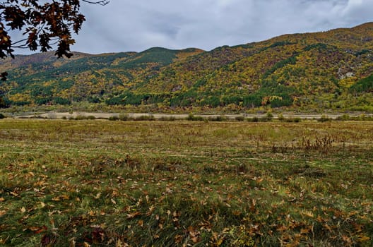 Colorful autumn   forest with coniferous and deciduous trees, road and glade in the Balkan mountain, near Kazanlak, Bulgaria