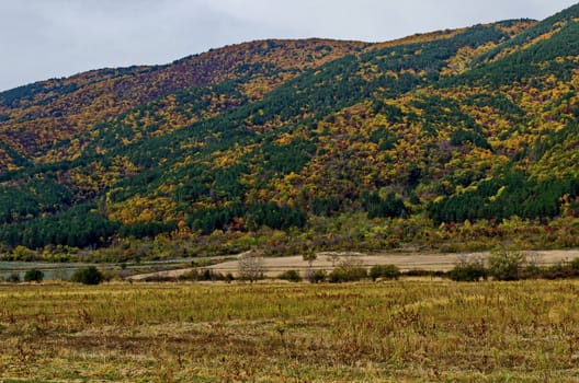 Colorful autumn   forest with coniferous and deciduous trees, road and glade in the Balkan mountain, near Kazanlak, Bulgaria