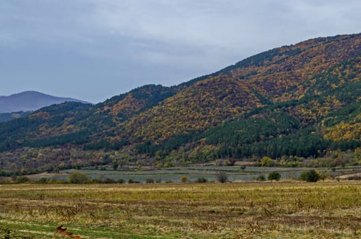 Colorful autumn   forest with coniferous and deciduous trees, road and glade in the Balkan mountain, near Kazanlak, Bulgaria