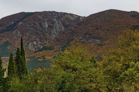 Colorful autumn   forest with coniferous and deciduous trees, glade and medieval fortress in the Balkan mountain, near Maglizh, Bulgaria