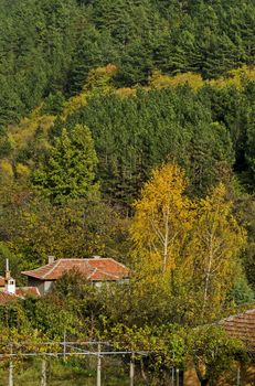 Autumnal colorful forest and houses in the town Maglizh, Balkan mountain, Bulgaria