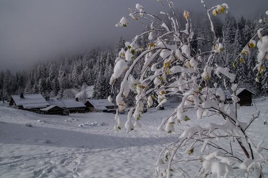 montroc,chamonix,haute savoie,france