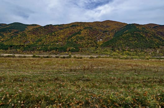 Colorful autumn   forest with coniferous and deciduous trees, road and glade in the Balkan mountain, near Kazanlak, Bulgaria