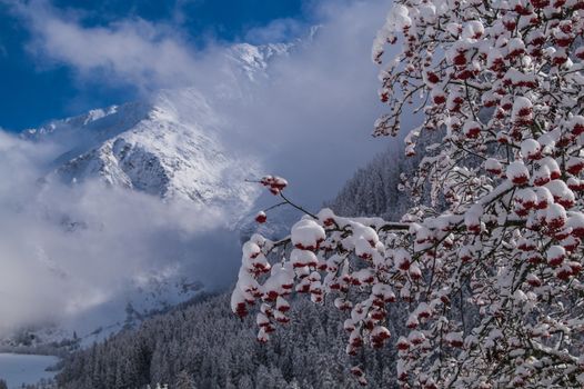trelechamps,chamonix,haute savoie,france