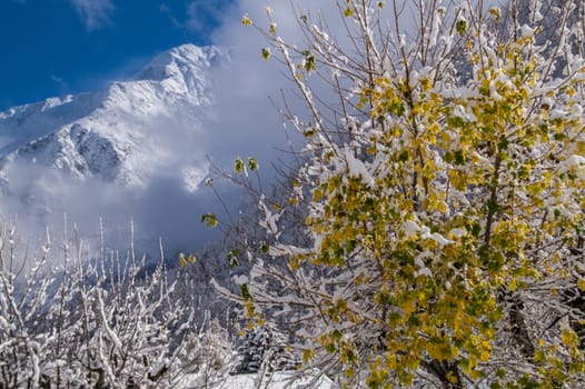 trelechamps,chamonix,haute savoie,france