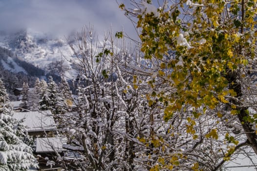 trelechamps,chamonix,haute savoie,france