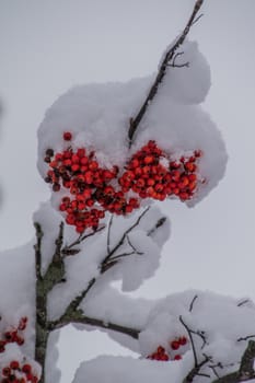 montroc,chamonix,haute savoie,france