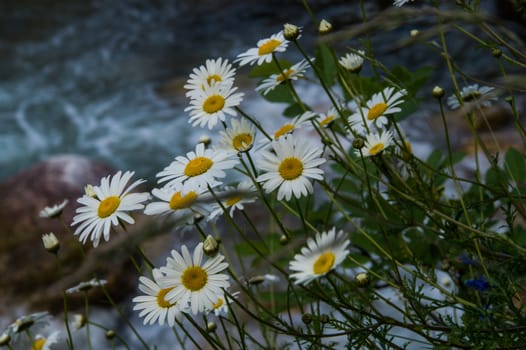 gorgres of baume,ardeche,franche