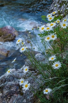 gorgres of baume,ardeche,franche