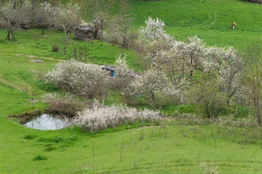 rosieres,haute loire,france
