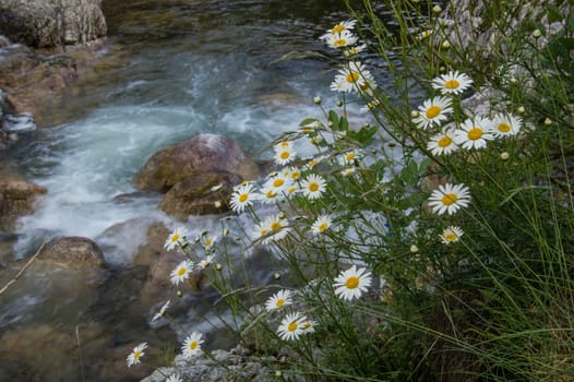 gorgres of baume,ardeche,franche