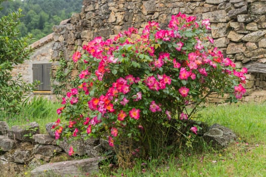 peyrot,beaumont,ardeche,france