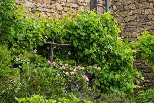 peyrot,beaumont,ardeche,france