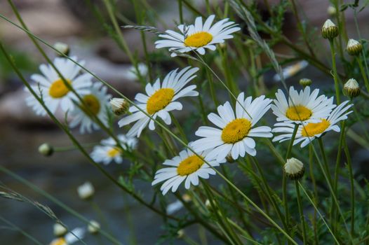 gorgres of baume,ardeche,franche
