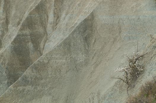 ravine corboeuf,rosieres,haute loire,france