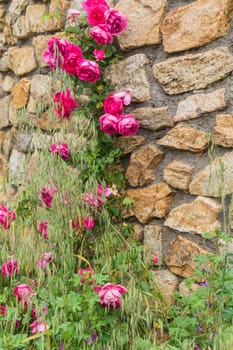 peyrot,beaumont,ardeche,france