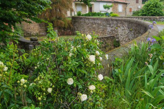 beaumont,ardeche,france