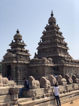 Shore temple is the structural building built with the block of granite at 8th Century AD. It is one of the Group of Monuments at Mahabalipuram and it has been classified as a UNESCO World Heritage Site. Shore temple is the oldest structural rock-cut stone temples of South India and contains complex of temples and shrines. This temple complex is initiated by King  Narasimhavarman II and it is called one of the Seven Pagodas in ancient times.