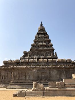 Shore temple is the structural building built with the block of granite at 8th Century AD. It is one of the Group of Monuments at Mahabalipuram and it has been classified as a UNESCO World Heritage Site. Shore temple is the oldest structural rock-cut stone temples of South India and contains complex of temples and shrines. This temple complex is initiated by King  Narasimhavarman II and it is called one of the Seven Pagodas in ancient times.
