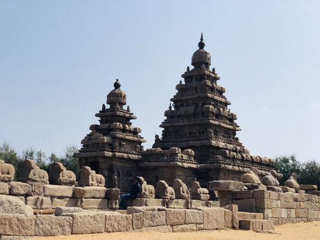 Shore temple is the structural building built with the block of granite at 8th Century AD. It is one of the Group of Monuments at Mahabalipuram and it has been classified as a UNESCO World Heritage Site. Shore temple is the oldest structural rock-cut stone temples of South India and contains complex of temples and shrines. This temple complex is initiated by King  Narasimhavarman II and it is called one of the Seven Pagodas in ancient times.