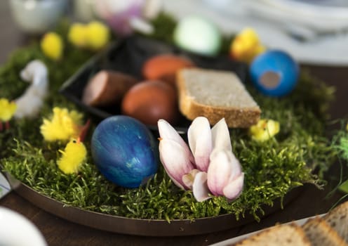 close up of easter decoration with easter egg on moss carpet