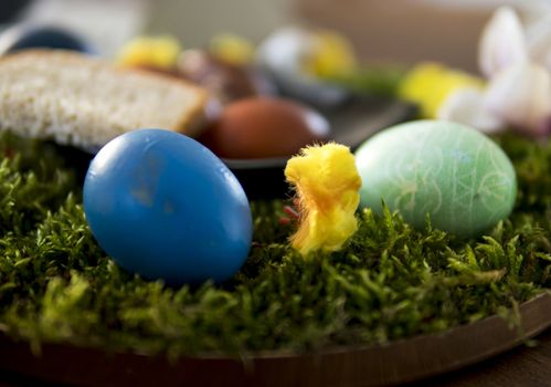 close up of easter decoration with easter egg on moss carpet