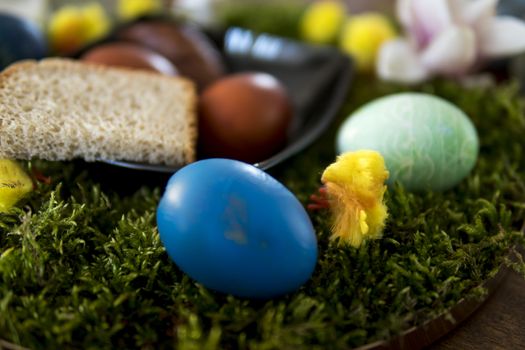 close up of easter decoration with easter egg on moss carpet