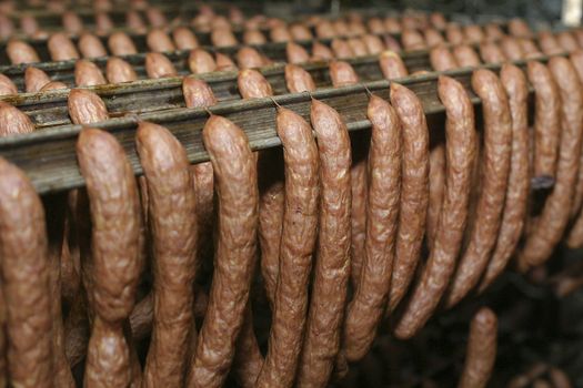 Sausage production line. Sausage on the counter for the smokehouse. Industrial manufacture of sausages.