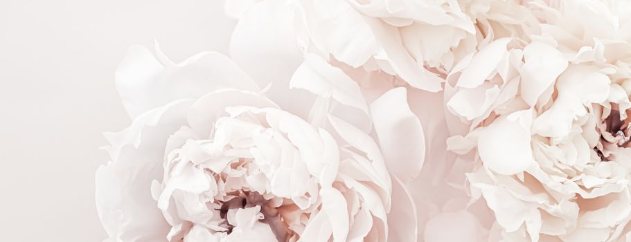 Pastel peony flowers in bloom as floral art background, wedding decor and luxury branding design