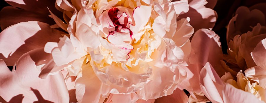 Peony flowers as luxury floral background, wedding decoration and event branding design