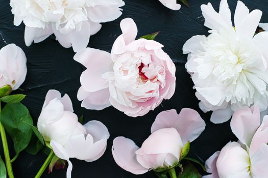 Blooming peony flowers as floral art background, botanical flatlay and luxury branding design